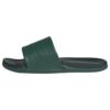 Collegiate Green/Collegiate Green/Aurora Ivy