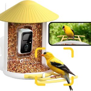 NETVUE by Birdfy Smart Bird Feeder with Camera for Outdoor, AI Bird ID